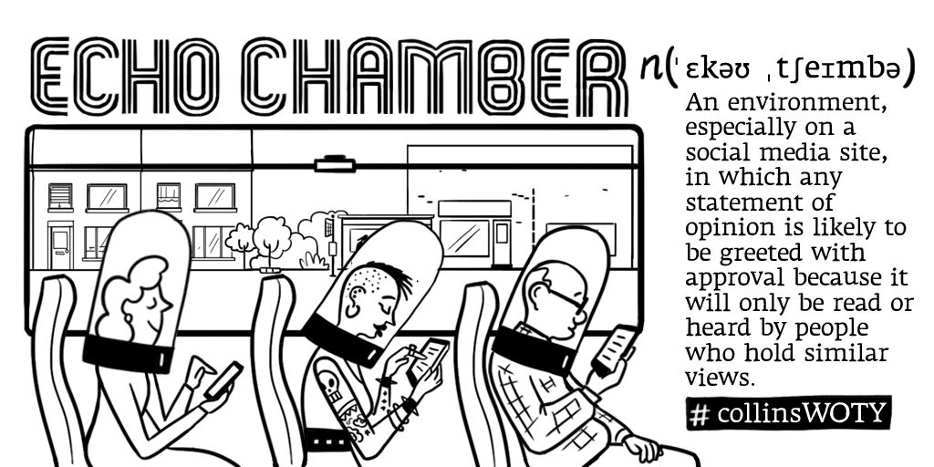 Image result for echo chamber